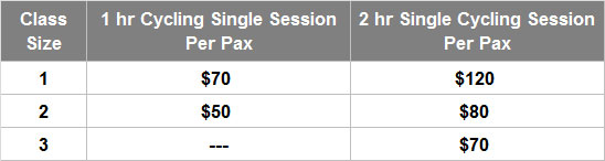 cycling lesson fees