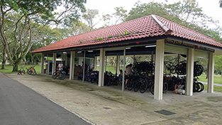 Pasir Ris Park GoCycling